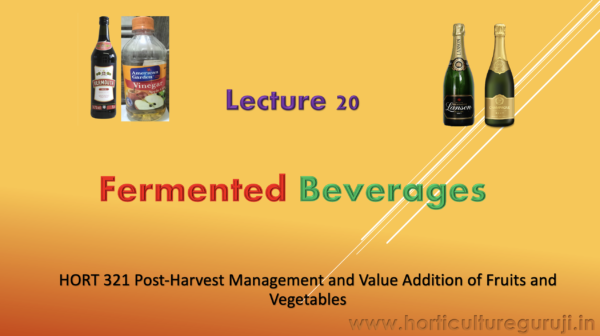 Fermented Beverages PPT